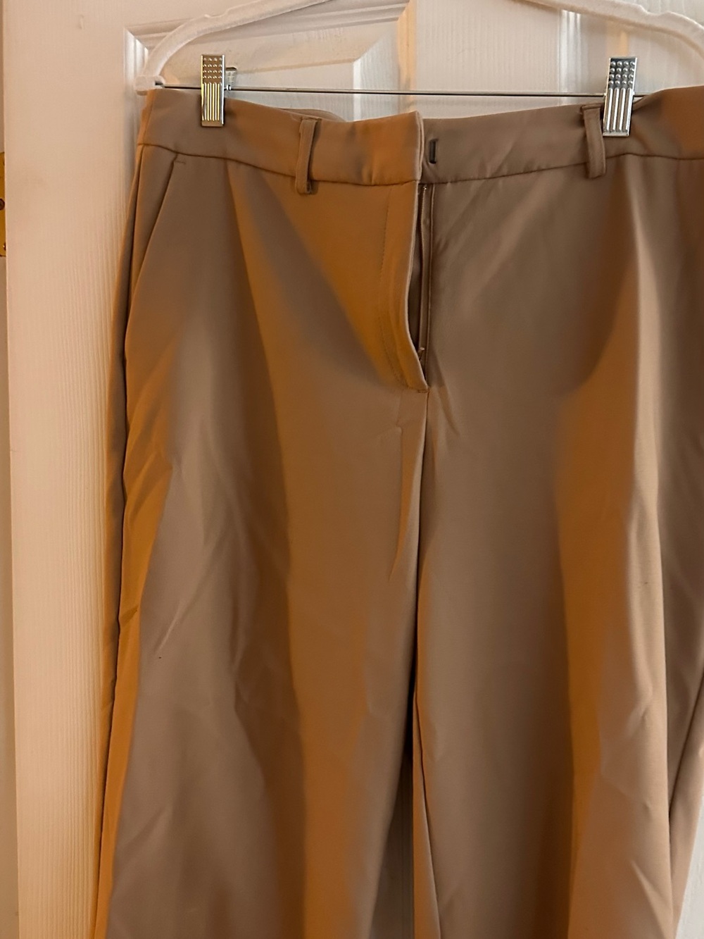 Nicole Miller Beige Straight-Leg Dress Pants